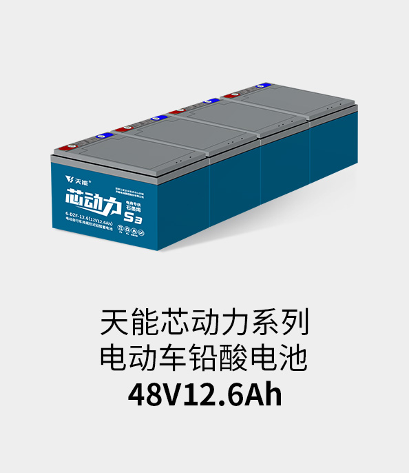 乐橙游戏·官方(中国)电池48v12ah