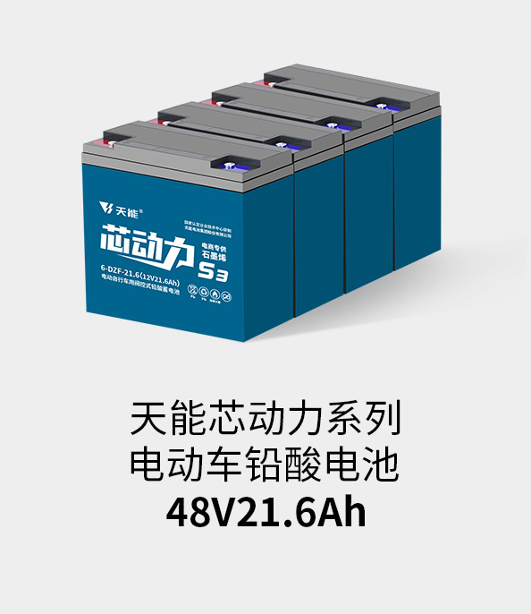 乐橙游戏·官方(中国)电池48v20ah