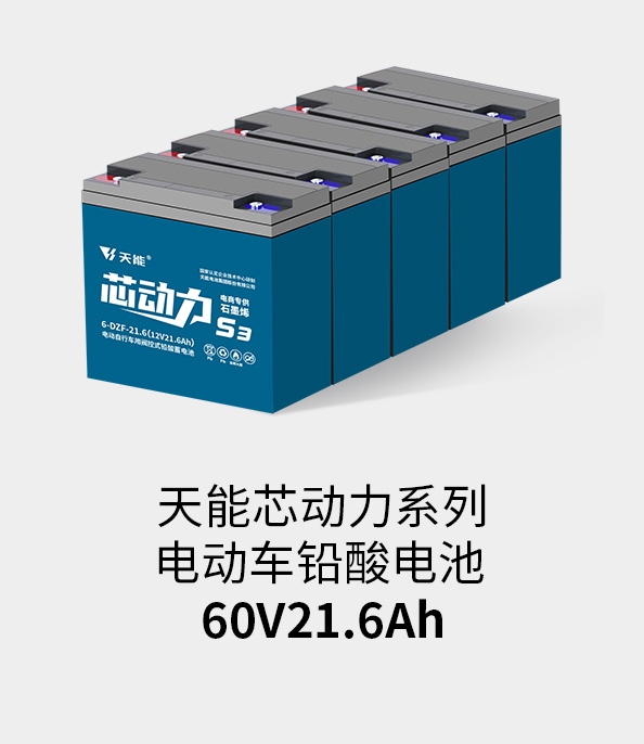 乐橙游戏·官方(中国)电池60v20ah