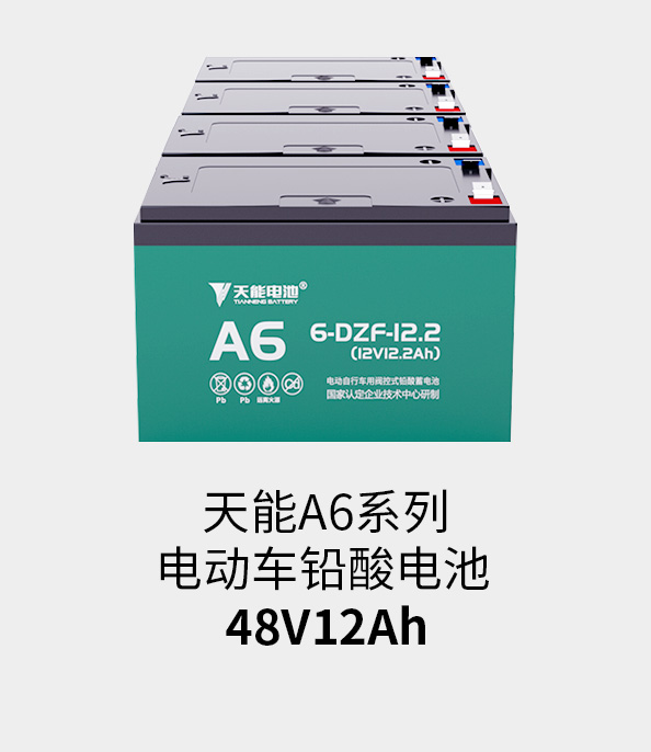 乐橙游戏·官方(中国)电池48v12ah