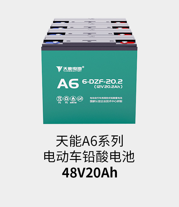 乐橙游戏·官方(中国)电池48v20ah