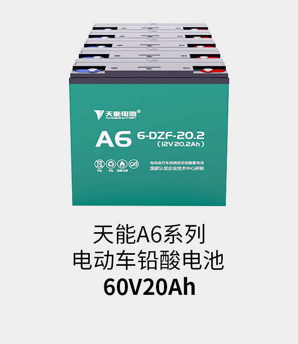 乐橙游戏·官方(中国)电池60v20ah