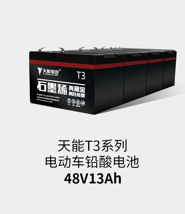 乐橙游戏·官方(中国)T3系列48v13ah