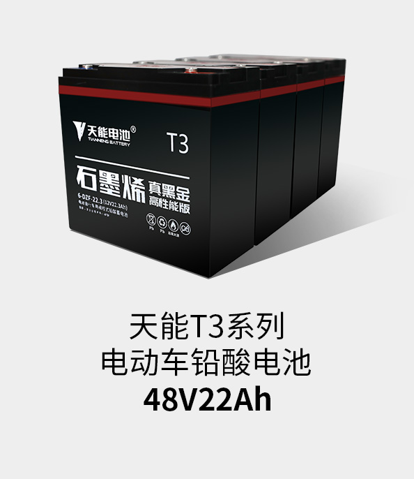 乐橙游戏·官方(中国)T3系列48v22ah