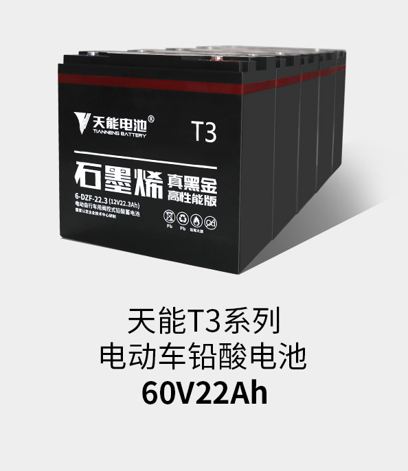 乐橙游戏·官方(中国)T3系列60v22ah