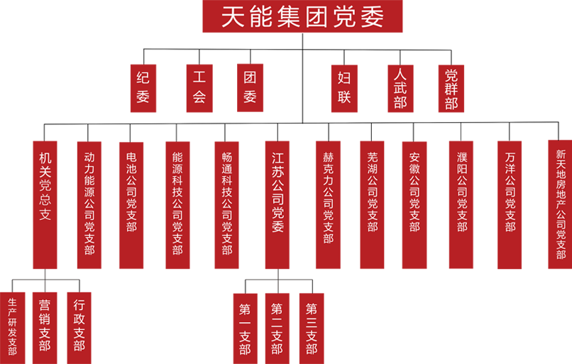 乐橙游戏·官方(中国)建团党委组织架构