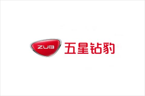 乐橙游戏·官方(中国)电池合作伙伴 五星钻豹电动车
